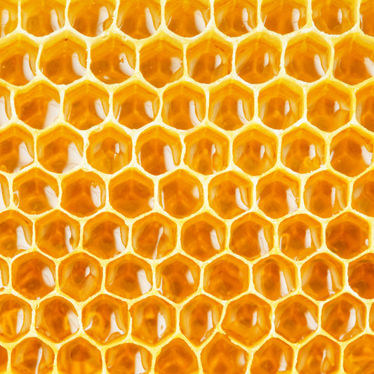 What’s In Your Skincare? Beeswax and Honey