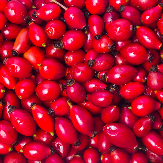 What’s In Your Skin Care? Rose Hips Oil